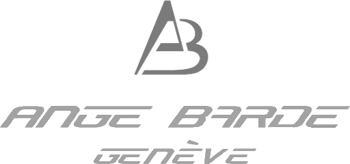 Ange Barde copie